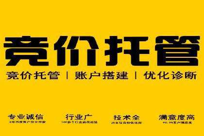 金融行业SEM推广的挑战与机遇